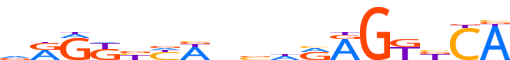 NR1I3.H13INVIVO.0.P.B motif logo (NR1I3 gene, NR1I3_HUMAN protein)