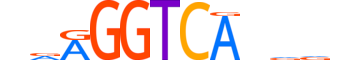 NR2C1.H13INVIVO.0.S.C motif logo (NR2C1 gene, NR2C1_HUMAN protein)