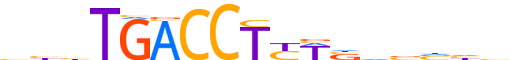 NR2F6.H13INVIVO.0.P.C reverse-complement motif logo (NR2F6 gene, NR2F6_HUMAN protein)