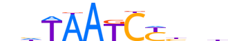 OTX2.H13INVIVO.0.PSM.A reverse-complement motif logo (OTX2 gene, OTX2_HUMAN protein)