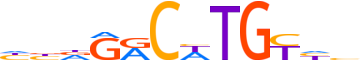 P63.H13INVIVO.1.PS.A motif logo (TP63 gene, P63_HUMAN protein)