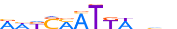 PAX3.H13INVIVO.2.P.C reverse-complement motif logo (PAX3 gene, PAX3_HUMAN protein)