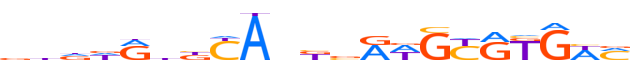 PAX8.H13INVIVO.0.PSM.A motif logo (PAX8 gene, PAX8_HUMAN protein)