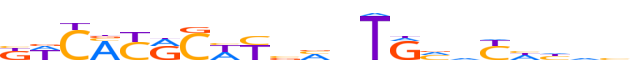 PAX8.H13INVIVO.0.PSM.A reverse-complement motif logo (PAX8 gene, PAX8_HUMAN protein)