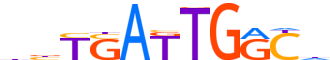 PBX2.H13INVIVO.1.P.C motif logo (PBX2 gene, PBX2_HUMAN protein)