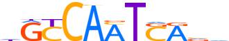 PBX2.H13INVIVO.1.P.C reverse-complement motif logo (PBX2 gene, PBX2_HUMAN protein)