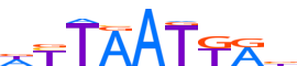 PDX1.H13INVIVO.1.PSM.A motif logo (PDX1 gene, PDX1_HUMAN protein)