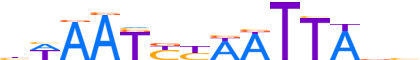 PHX2A.H13INVIVO.0.PS.A motif logo (PHOX2A gene, PHX2A_HUMAN protein)