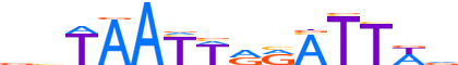 PHX2A.H13INVIVO.0.PS.A reverse-complement motif logo (PHOX2A gene, PHX2A_HUMAN protein)
