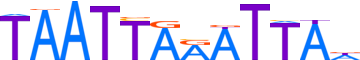 PHX2B.H13INVIVO.0.PSM.A motif logo (PHOX2B gene, PHX2B_HUMAN protein)