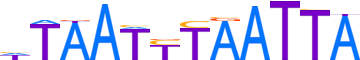 PHX2B.H13INVIVO.0.PSM.A reverse-complement motif logo (PHOX2B gene, PHX2B_HUMAN protein)