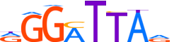 PITX1.H13INVIVO.0.PSM.A motif logo (PITX1 gene, PITX1_HUMAN protein)