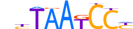 PITX1.H13INVIVO.0.PSM.A reverse-complement motif logo (PITX1 gene, PITX1_HUMAN protein)