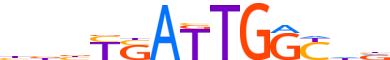 PKNX1.H13INVIVO.0.P.B motif logo (PKNOX1 gene, PKNX1_HUMAN protein)