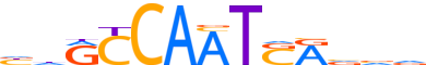 PKNX1.H13INVIVO.0.P.B reverse-complement motif logo (PKNOX1 gene, PKNX1_HUMAN protein)