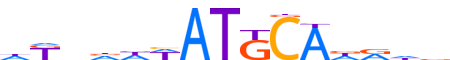 PO3F1.H13INVIVO.0.P.B motif logo (POU3F1 gene, PO3F1_HUMAN protein)