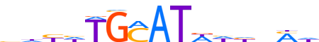 PO3F1.H13INVIVO.0.P.B reverse-complement motif logo (POU3F1 gene, PO3F1_HUMAN protein)