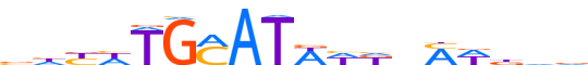 PO3F3.H13INVIVO.1.P.C motif logo (POU3F3 gene, PO3F3_HUMAN protein)