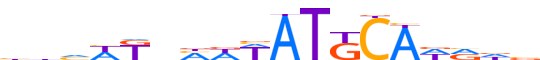 PO3F3.H13INVIVO.1.P.C reverse-complement motif logo (POU3F3 gene, PO3F3_HUMAN protein)