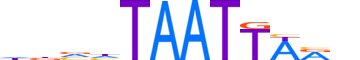 PO3F3.H13INVIVO.2.S.B motif logo (POU3F3 gene, PO3F3_HUMAN protein)