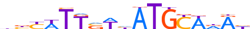 PO5F1.H13INVIVO.0.P.B motif logo (POU5F1 gene, PO5F1_HUMAN protein)