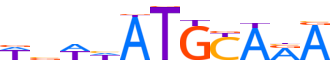 PO5F1.H13INVIVO.1.P.B motif logo (POU5F1 gene, PO5F1_HUMAN protein)