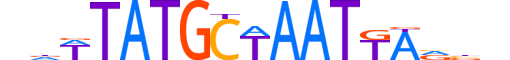 PO5F1.H13INVIVO.2.SM.B motif logo (POU5F1 gene, PO5F1_HUMAN protein)