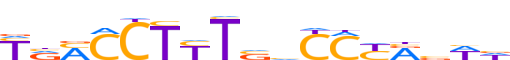 PPARG.H13INVIVO.0.P.B reverse-complement motif logo (PPARG gene, PPARG_HUMAN protein)