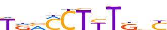 PPARG.H13INVIVO.1.P.B reverse-complement motif logo (PPARG gene, PPARG_HUMAN protein)