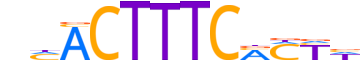 PRDM1.H13INVIVO.0.S.B reverse-complement motif logo (PRDM1 gene, PRDM1_HUMAN protein)