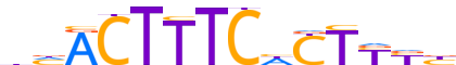 PRDM1.H13INVIVO.1.PS.A reverse-complement motif logo (PRDM1 gene, PRDM1_HUMAN protein)