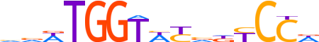 PRDM10.H13INVIVO.0.PSGI.A motif logo (PRDM10 gene, PRD10_HUMAN protein)