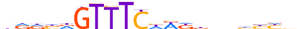 PRDM4.H13INVIVO.0.PSM.A motif logo (PRDM4 gene, PRDM4_HUMAN protein)