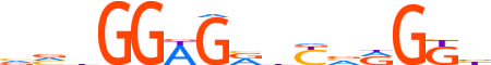 PRDM5.H13INVIVO.0.PSGI.A reverse-complement motif logo (PRDM5 gene, PRDM5_HUMAN protein)