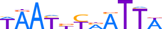 PROP1.H13INVIVO.0.PSM.A reverse-complement motif logo (PROP1 gene, PROP1_HUMAN protein)