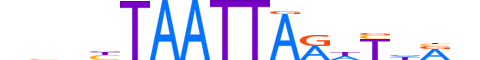 PRRX2.H13INVIVO.1.S.D motif logo (PRRX2 gene, PRRX2_HUMAN protein)