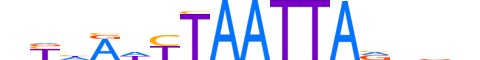 PRRX2.H13INVIVO.1.S.D reverse-complement motif logo (PRRX2 gene, PRRX2_HUMAN protein)