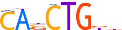 PTF1A.H13INVIVO.1.PS.A motif logo (PTF1A gene, PTF1A_HUMAN protein)