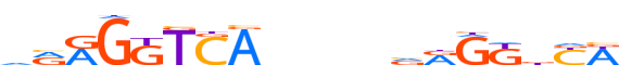 RARA.H13INVIVO.1.P.B motif logo (RARA gene, RARA_HUMAN protein)