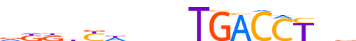 RARA.H13INVIVO.2.P.B reverse-complement motif logo (RARA gene, RARA_HUMAN protein)