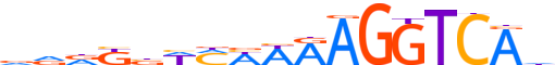 RARG.H13INVIVO.3.S.B motif logo (RARG gene, RARG_HUMAN protein)