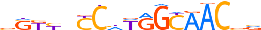 RFX2.H13INVIVO.1.PSM.A reverse-complement motif logo (RFX2 gene, RFX2_HUMAN protein)