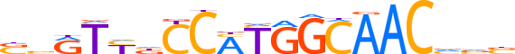 RFX5.H13INVIVO.0.PSG.A reverse-complement motif logo (RFX5 gene, RFX5_HUMAN protein)