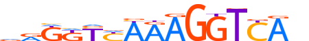 RXRA.H13INVIVO.2.SM.B motif logo (RXRA gene, RXRA_HUMAN protein)