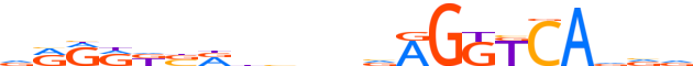 RXRA.H13INVIVO.3.P.B motif logo (RXRA gene, RXRA_HUMAN protein)