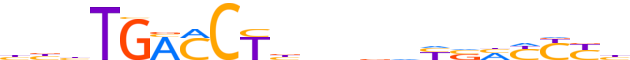 RXRA.H13INVIVO.3.P.B reverse-complement motif logo (RXRA gene, RXRA_HUMAN protein)