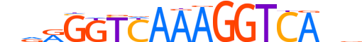 RXRB.H13INVIVO.1.SM.B motif logo (RXRB gene, RXRB_HUMAN protein)