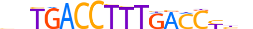 RXRB.H13INVIVO.1.SM.B reverse-complement motif logo (RXRB gene, RXRB_HUMAN protein)