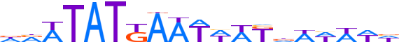 SALL3.H13INVIVO.0.PSG.A motif logo (SALL3 gene, SALL3_HUMAN protein)