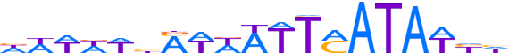 SALL3.H13INVIVO.0.PSG.A reverse-complement motif logo (SALL3 gene, SALL3_HUMAN protein)